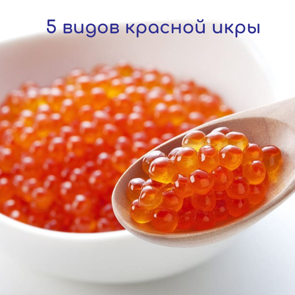 Набор 5 видов красной икры