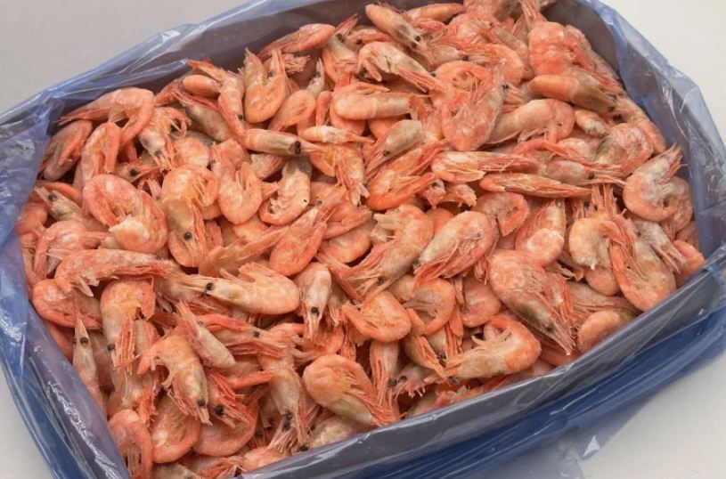 Северная креветка 120+, коробка